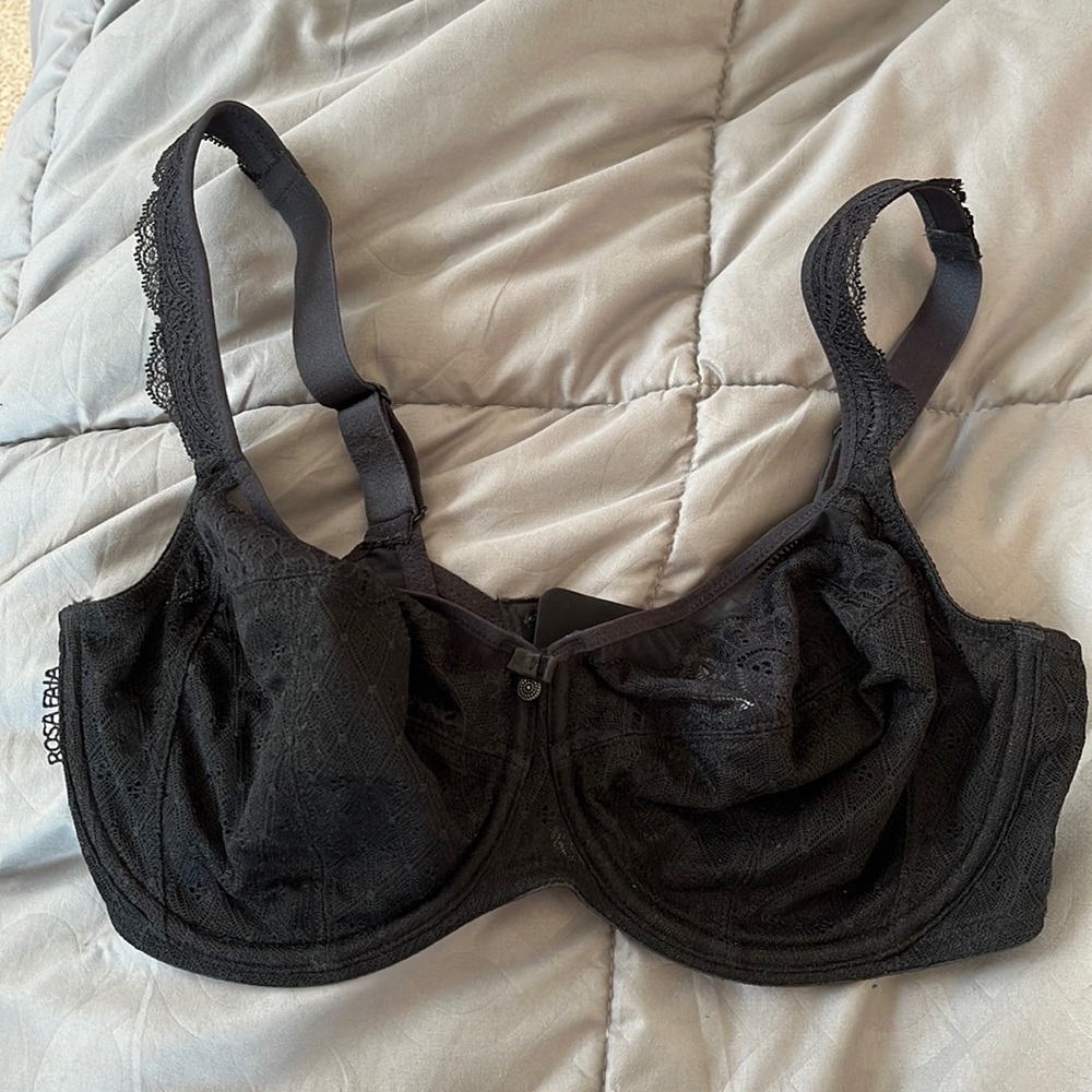 Rosa Fala bra